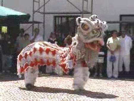 Lion Dance