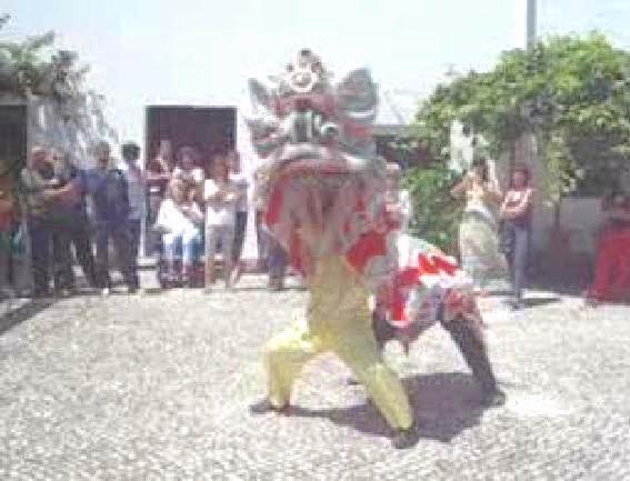 Lion Dance