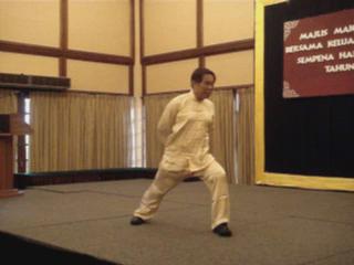 Shaolin Kungfu