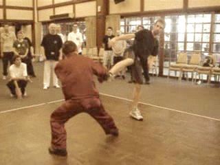 Shaolin Kungfu