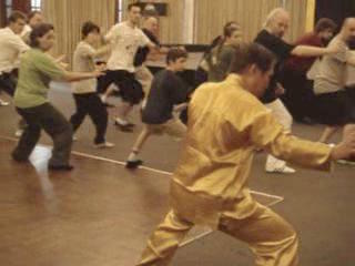 Shaolin Kungfu