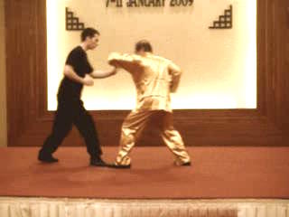 Shaolin Kungfu