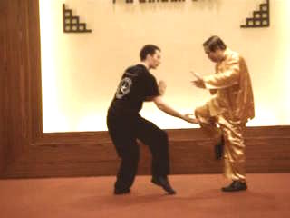 Shaolin Kungfu