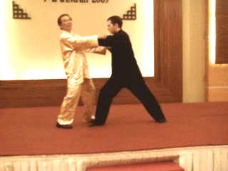 Shaolin Kungfu