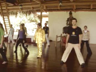 Wahnam Taijiquan