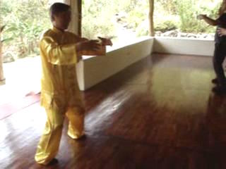 Wahnam Taijiquan