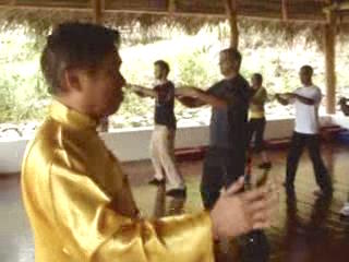 Wahnam Taijiquan