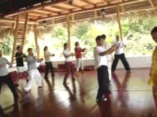 Wahnam Taijiquan