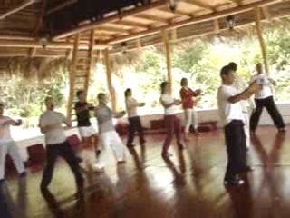 Wahnam Taijiquan