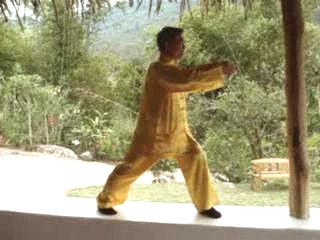 Wahnam Taijiquan