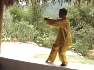 Wahnam Taijiquan