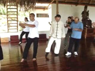 Wahnam Taijiquan