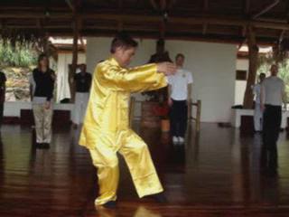 Wahnam Taijiquan