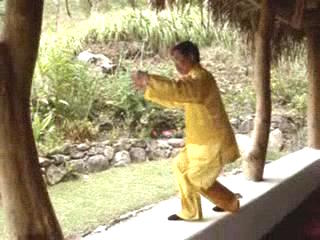 Wahnam Taijiquan