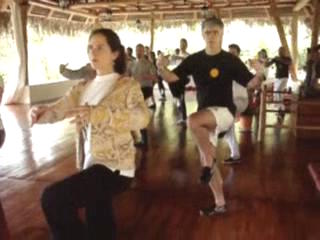 Wahnam Taijiquan