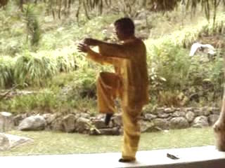 Wahnam Taijiquan