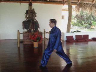 Wahnam Taijiquan