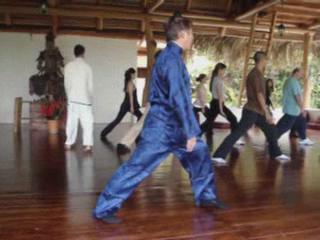 Wahnam Taijiquan