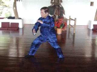 Wahnam Taijiquan