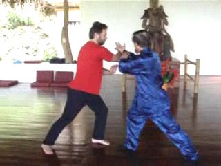 Wahnam Taijiquan