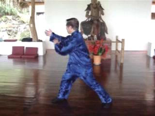 Wahnam Taijiquan