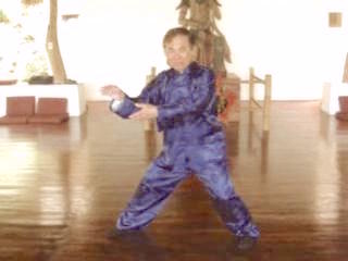 Wahnam Taijiquan