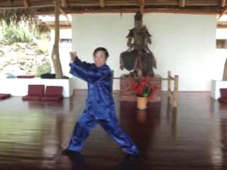 Wahnam Taijiquan