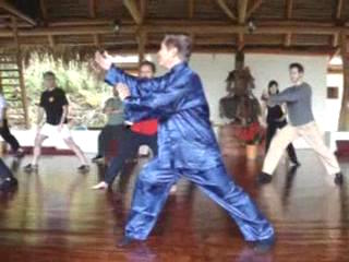 Wahnam Taijiquan