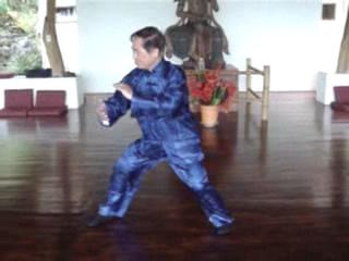 Wahnam Taijiquan