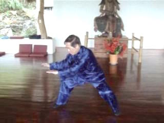 Wahnam Taijiquan