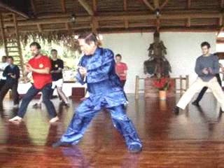 Wahnam Taijiquan