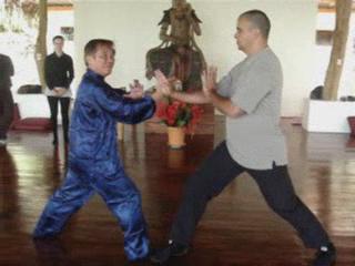 Wahnam Taijiquan