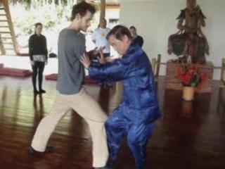 Wahnam Taijiquan