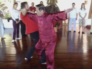 Wahnam Taijiquan