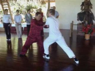 Wahnam Taijiquan