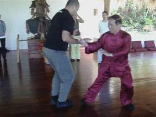 Wahnam Taijiquan