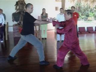 Wahnam Taijiquan