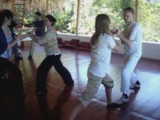 Wahnam Taijiquan