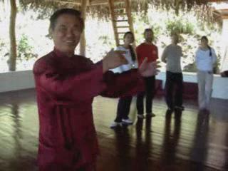 Wahnam Taijiquan