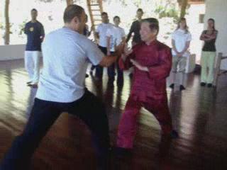 Wahnam Taijiquan