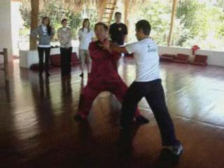 Wahnam Taijiquan