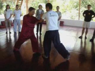 Wahnam Taijiquan