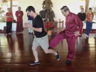 Wahnam Taijiquan