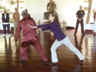 Wahnam Taijiquan