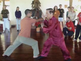 Taijiquan