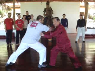 Taijiquan