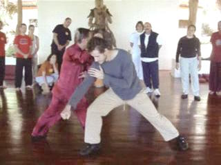 Wahnam Taijiquan