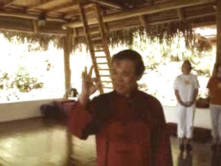 Taijiquan