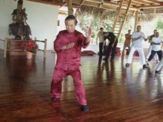 Taijiquan