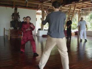 Taijiquan